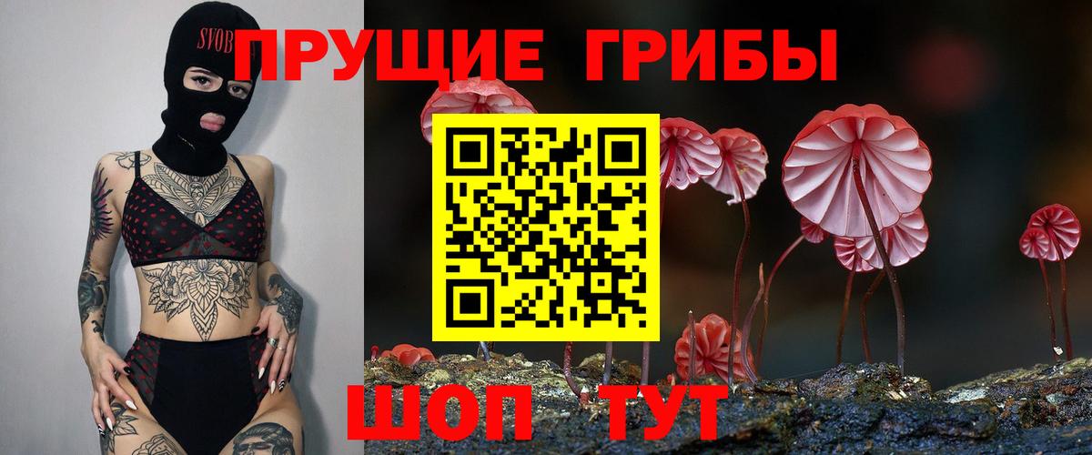 Острогожск  Галлюциногенные грибы Psilocybine cubensis  купить наркотик  Вход с VPN 